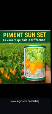 photo utilisateur