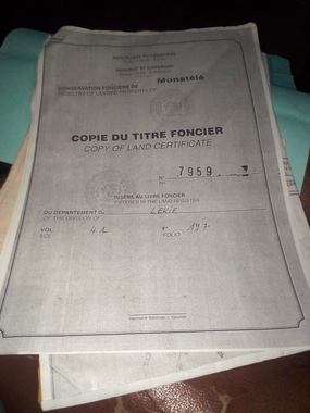 photo utilisateur