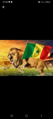 photo utilisateur