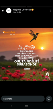 photo utilisateur