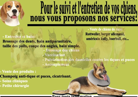 photo utilisateur