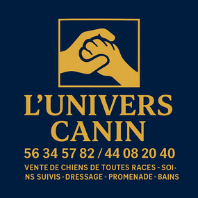 photo utilisateur